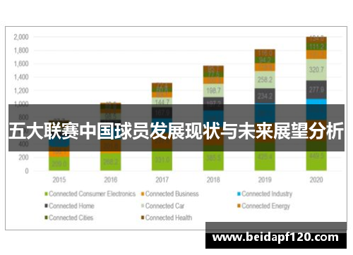 五大联赛中国球员发展现状与未来展望分析